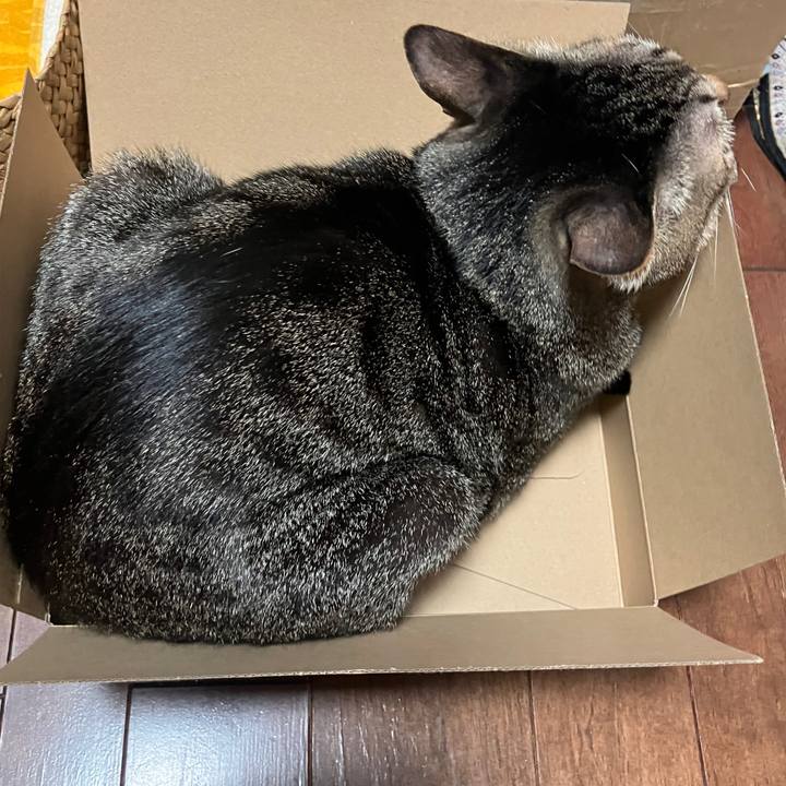 02a17669 7be7 4cb4 87a1 9aa51d86f358 1772105281426