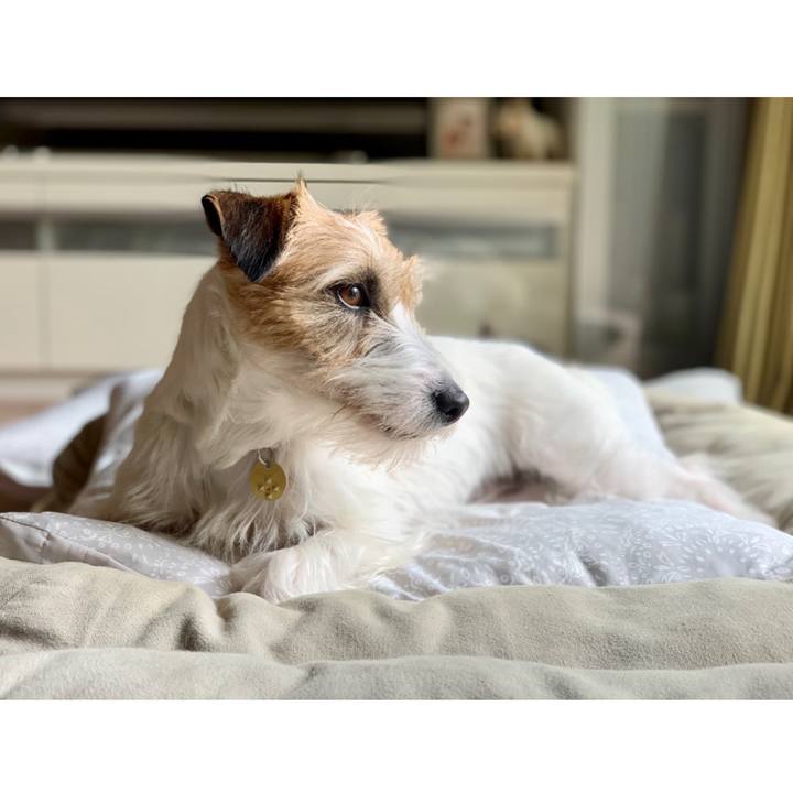 02a17879 3ebc 4599 9f8c 4b3049355b81 1623203542135