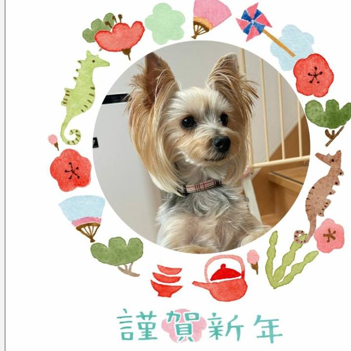 02a1825c e301 4649 9874 aaa5603925cd 1704059085516