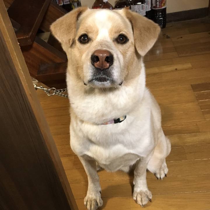 02a1d12c 0717 4a18 b2e9 841387d89645 1525644347059