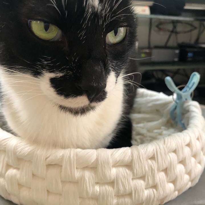 02a21d80 4728 4fa7 92a7 ca327e2950c9 1596002775808