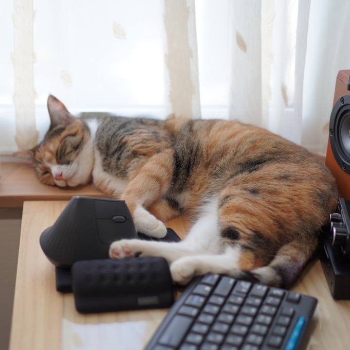 02a22ef2 f963 4732 8091 8c3f30460776 1626006961477