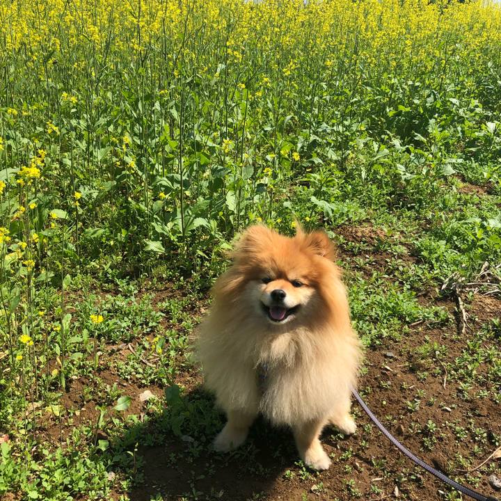 02a24c18 142d 419c a2a7 6822d8d919ae 1556936682556