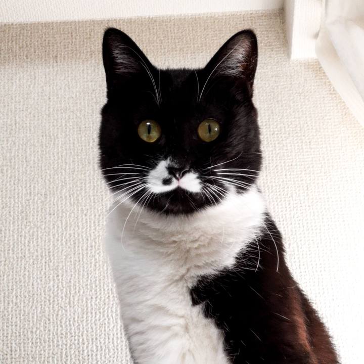 02a28854 181a 4492 ab18 00dcc448828f 1542550915166