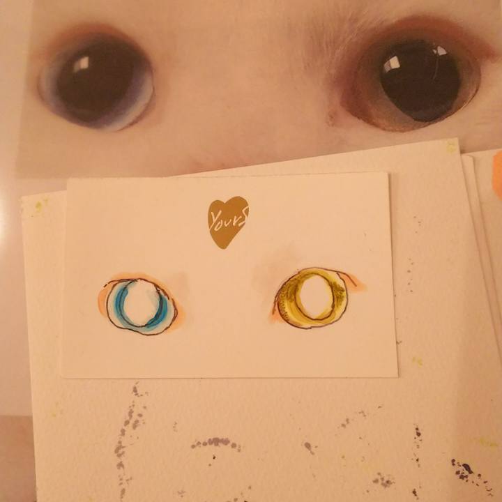 02a29b58 0ecf 46a8 8c5b f1b7b260f4bb 1535172643541