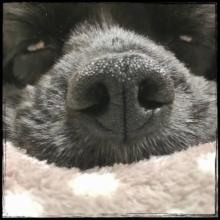 02a2a80f c099 4b81 8a1f b19b1ae5a087 1523530096027