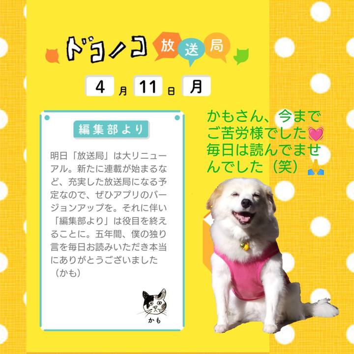 02a2c971 dc84 4040 85c4 62c050fd8388 1649647106992