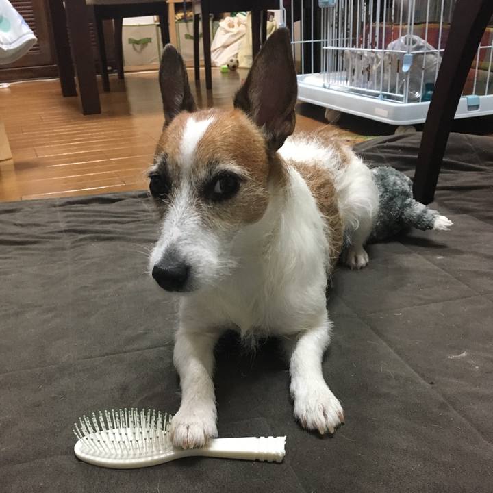 02a2f475 59fb 4c89 8a03 75746905f55f 1564786102575