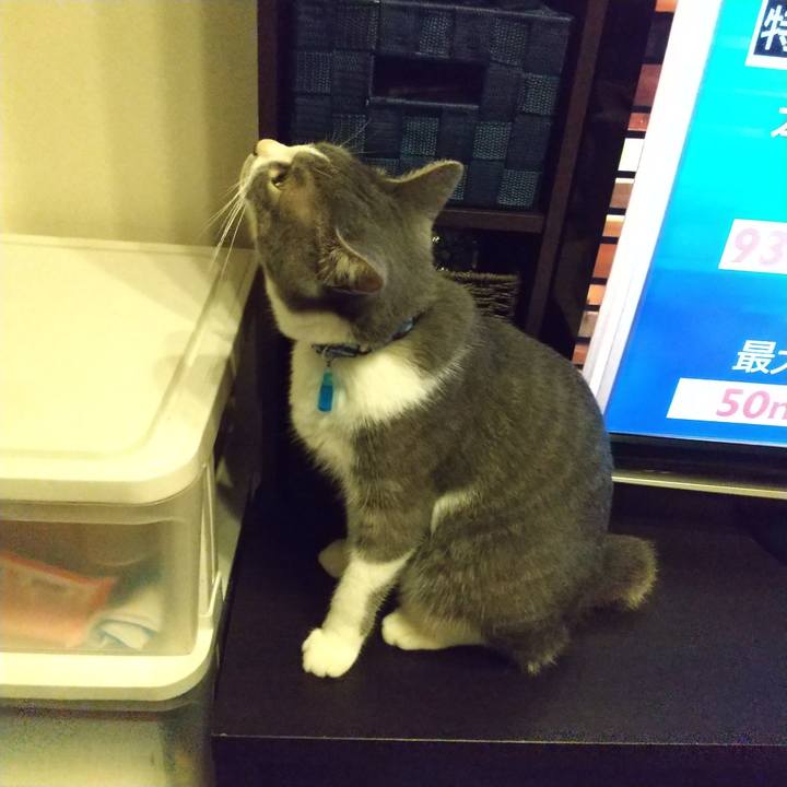 02a3471d f5c6 4391 8fd9 5ac6ea2e90ee 1599485308951