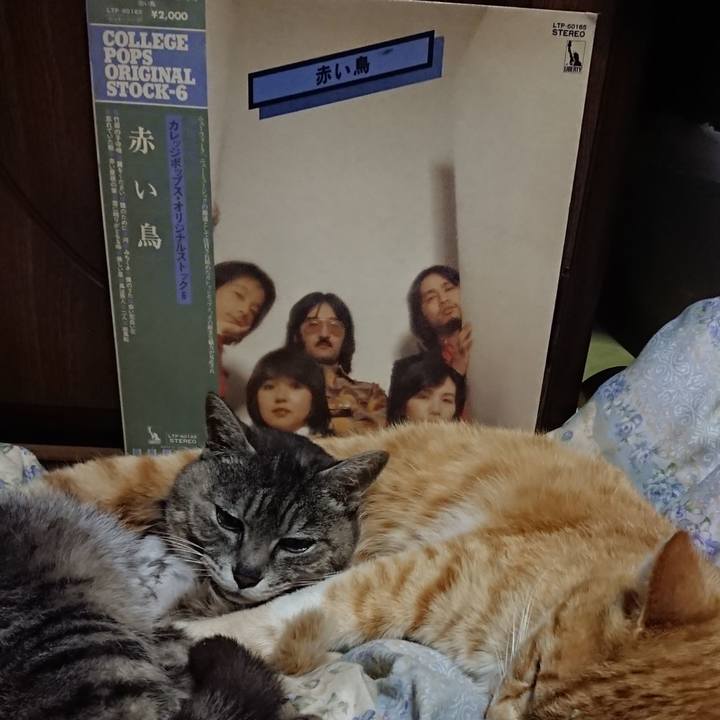 02a3568b bb89 4e58 a6f6 6a1a3a16d8bd 1589630863116