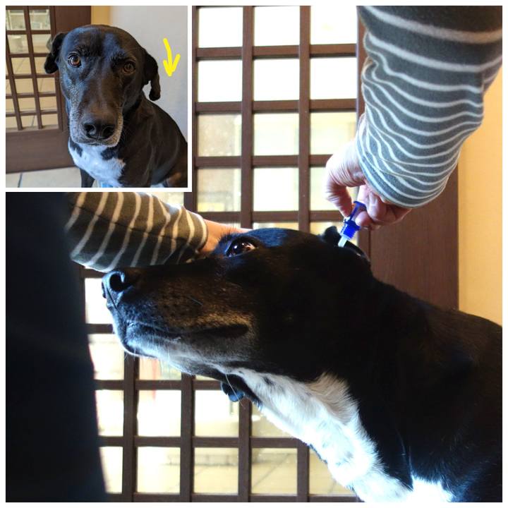 02a35d0a 2fc3 43f7 a02c 78efe01db557 1709426488652