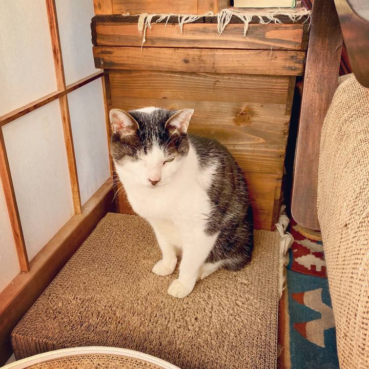 02a37605 af8e 406f 8774 2668ba86504a 1608852056364