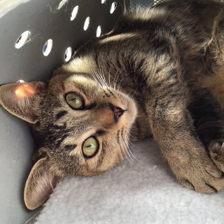 02a38193 562d 4b6f 93ce 05e9b14844a9 1577940357189