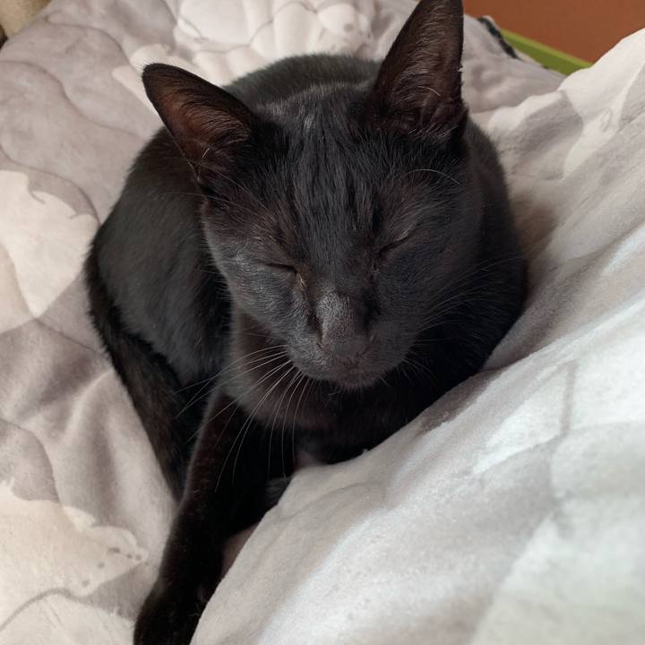 02a3df46 d8f5 431b a841 89b0abb6602c 1543020454745