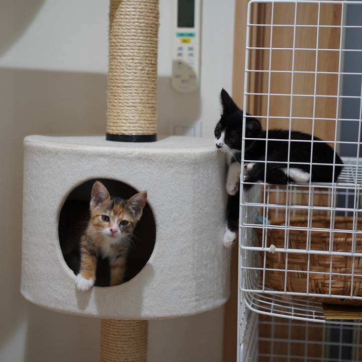 02a3df88 1da9 40f9 89e4 5b572856d264 1567653792163