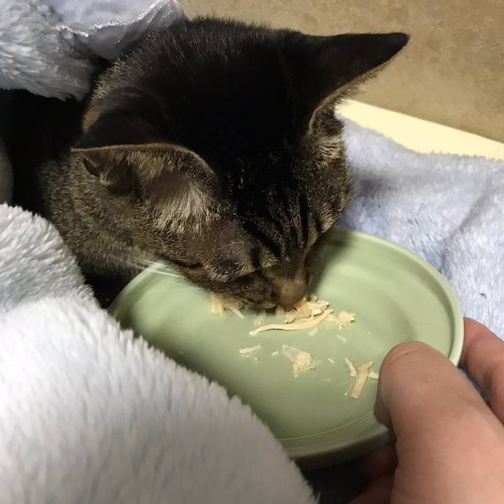 02a3e28b 805f 452c ac47 c04cee0a4d5c 1512524394461