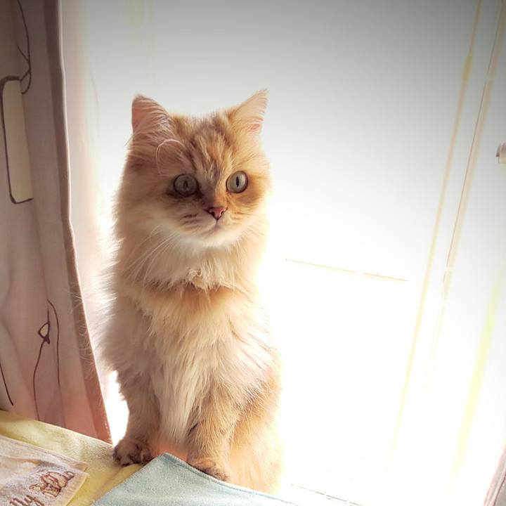 02a42a9a 9fc5 4578 94ff a6739a328797 1599520213427