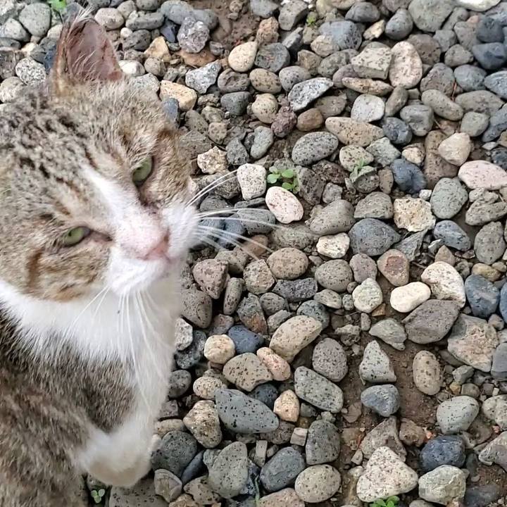 02a43190 59bc 4128 9518 801d4f947c41 1721312517539