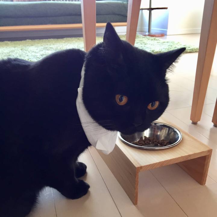 02a489bc 45ac 46f2 b1ba aa740b704caa 1511562492020