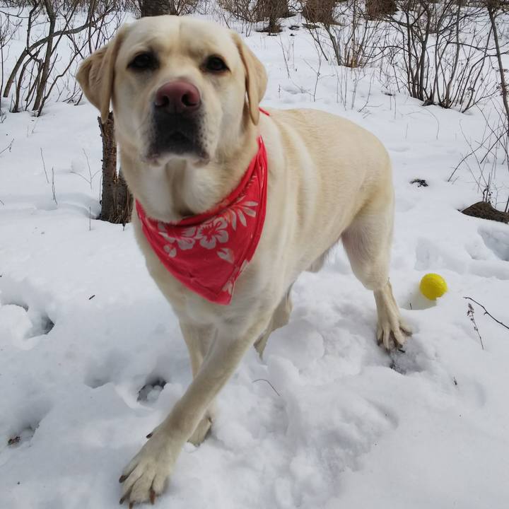 02a4aa56 e1aa 4474 8788 00a30538ce15 1549595262556