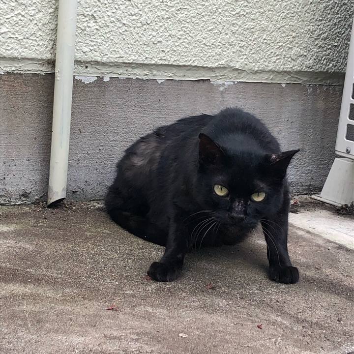 02a4b811 6fca 41e0 8944 9e57c3b15b2a 1572727627105