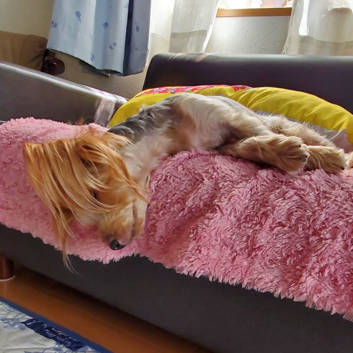 02a4f58e bba9 4ccc 98a8 8785c7f43811 1599280303209