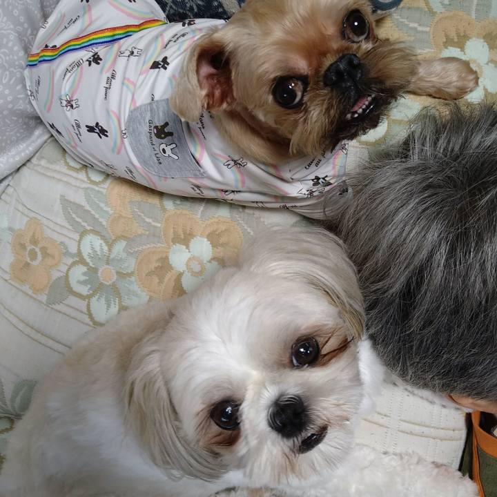 02a57616 01d3 4a73 a264 235ffad3fa99 1630811102239