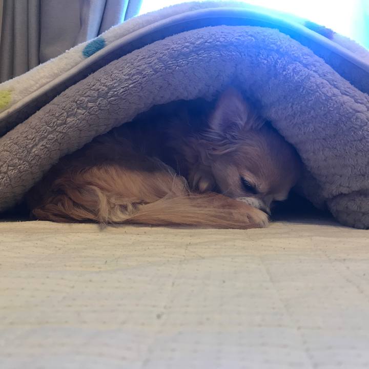 02a5862a af02 476d 9a29 fc4782db526c 1548989862507