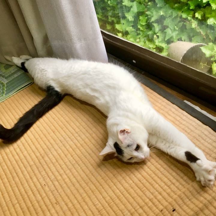 02a5c312 6889 4391 ac63 1b7f6b13a965 1558388277103