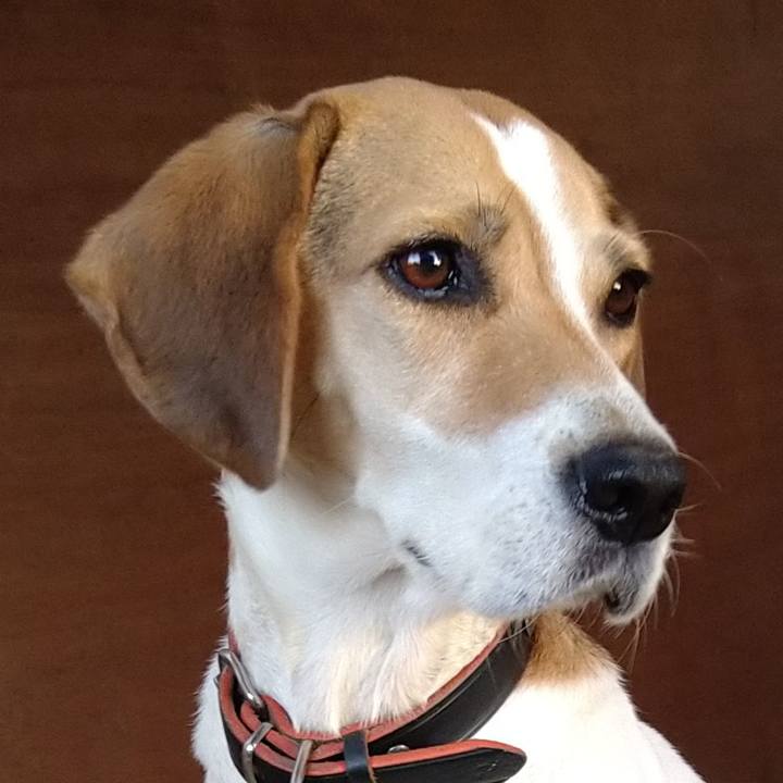 02a6321f a356 44e5 bc95 201f5582e6b4 1635774567225