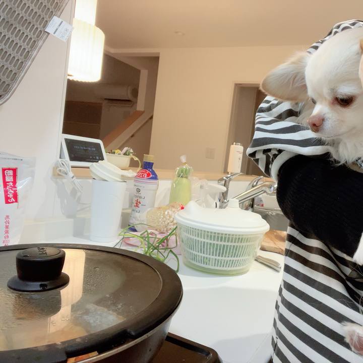 02a6508a 0195 4f2d b532 c67fef162a06 1710753825438