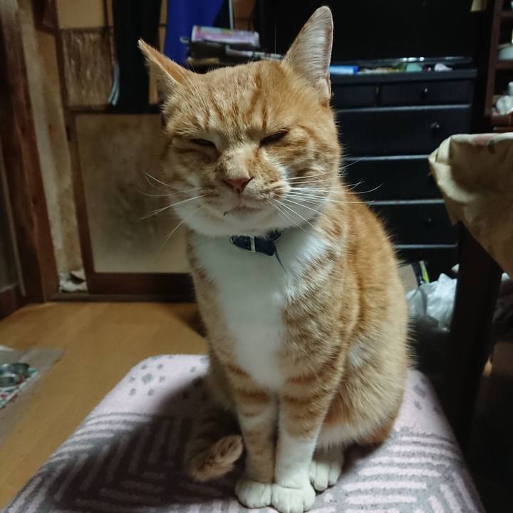 02a68cb0 0d66 42ed a00c 72d3faf0814b 1606852156149