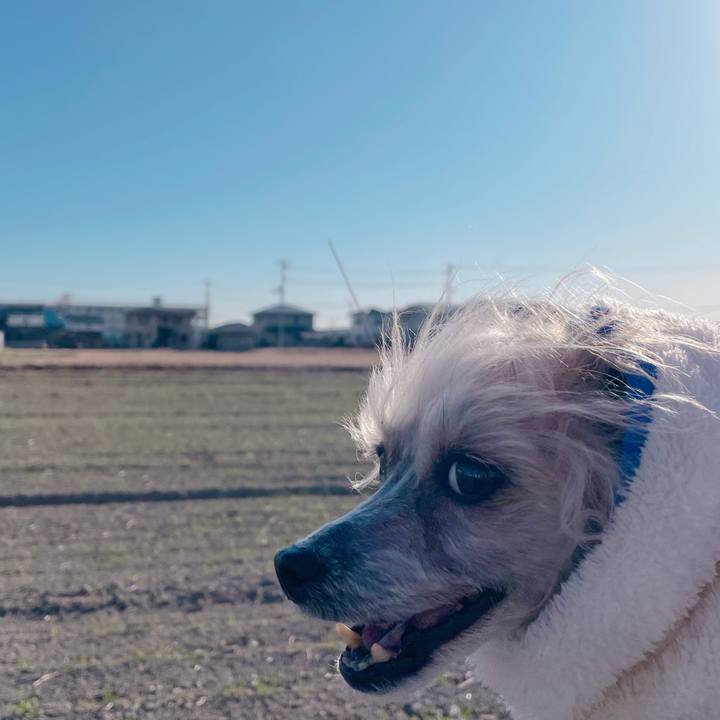 02a68dd8 4c43 4608 873f 20797b650263 1771323116690