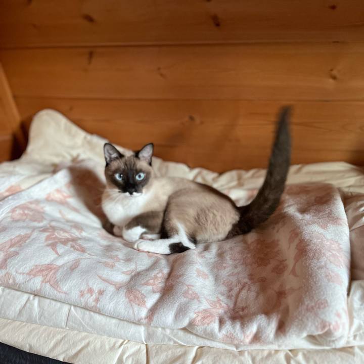 02a69a1b c240 4224 85f2 fc88326770b1 1731313468575