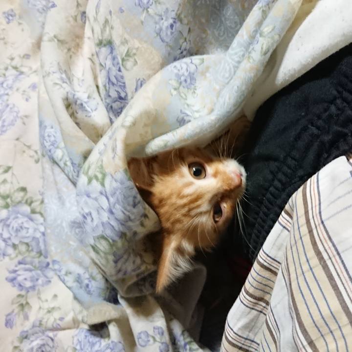 02a6a453 311a 412f 9266 b5028402e47c 1628972746918