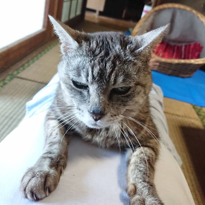 02a6b215 ac8e 4e25 af4f ca1e523cc4df 1561540924465