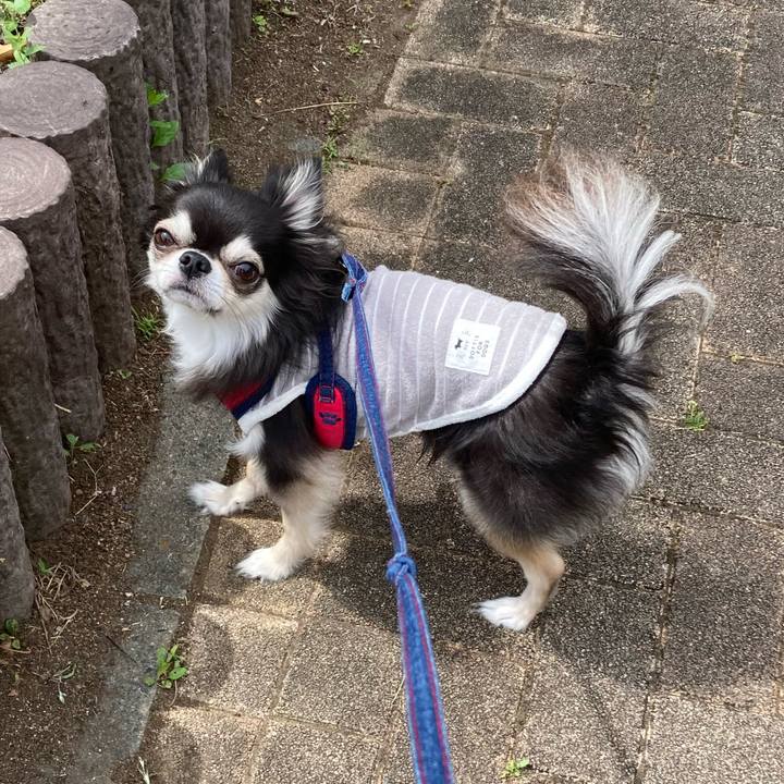 02a6bca3 9143 46fe 98b1 b342dea5ed58 1715484320298