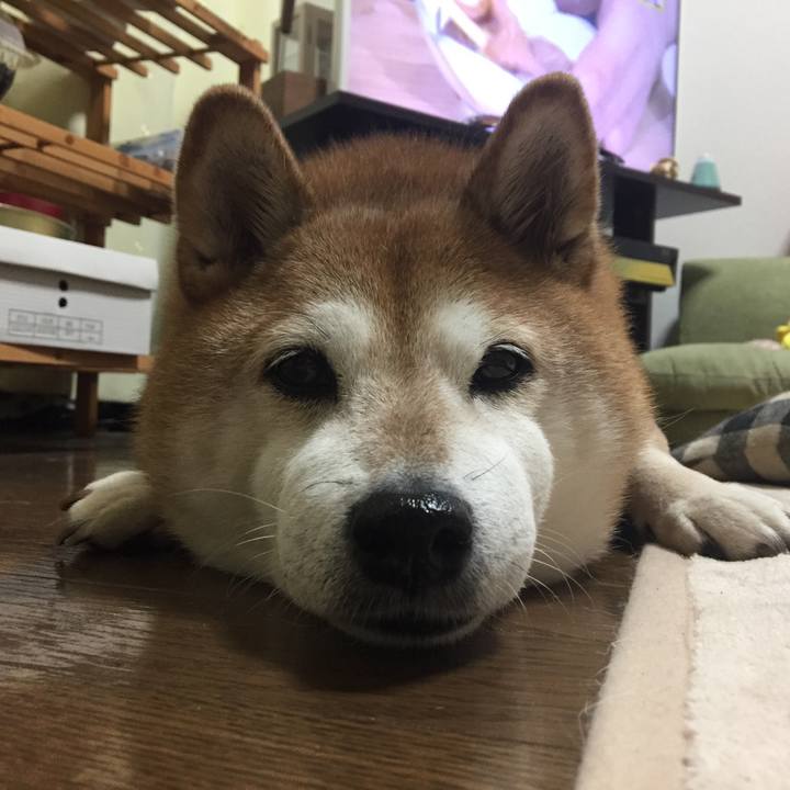 02a6dc85 ee8f 40a0 b83b 21cb016de40a 1513087815383