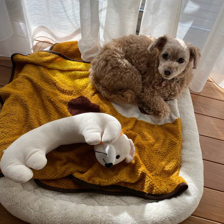 02a6ef10 9058 4373 b688 6f43b176e79a 1611278328707