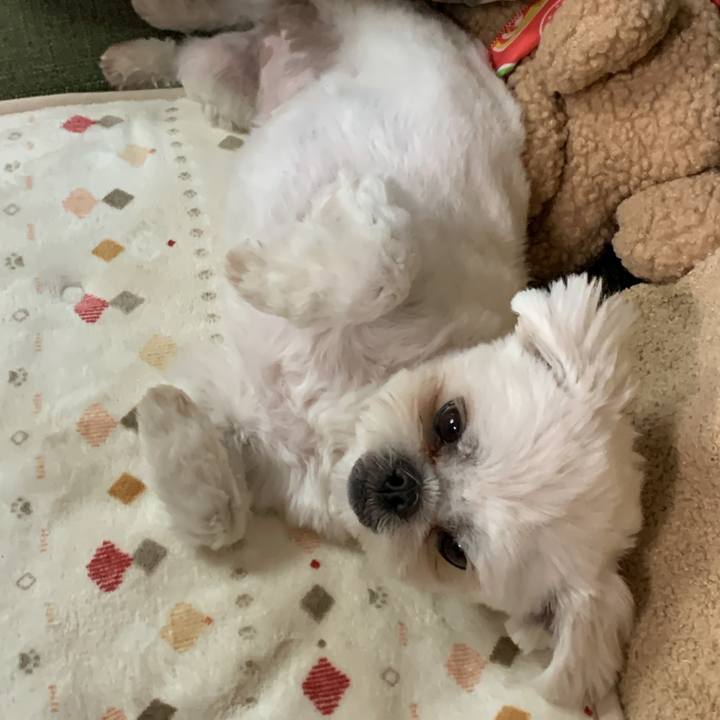 02a71759 83c5 41fe bb66 1916ef5f9f74 1671360455552