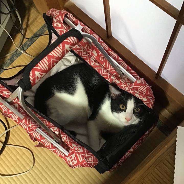 02a72b3b a0ef 4a26 a4f6 f58796ba4960 1634098215696