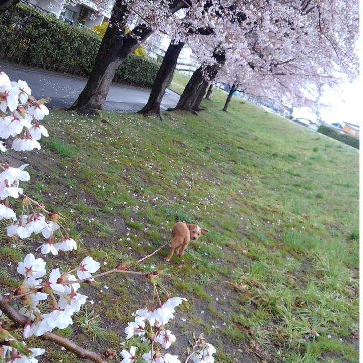 02a73d60 8be2 4558 a1ad 888f9f567e08 1523088106133