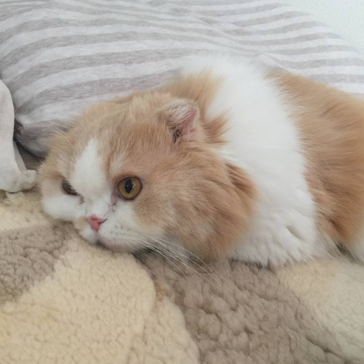 02a74b25 27eb 4098 a792 af5f5b7c2fe0 1591913426238