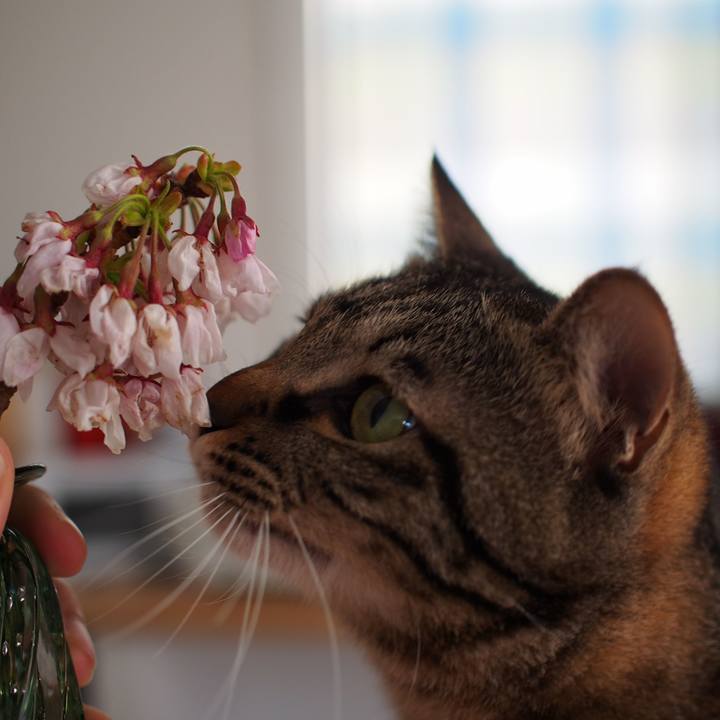 02a7730e bf83 422e 8033 e5b683ba5fbb 1555332978852