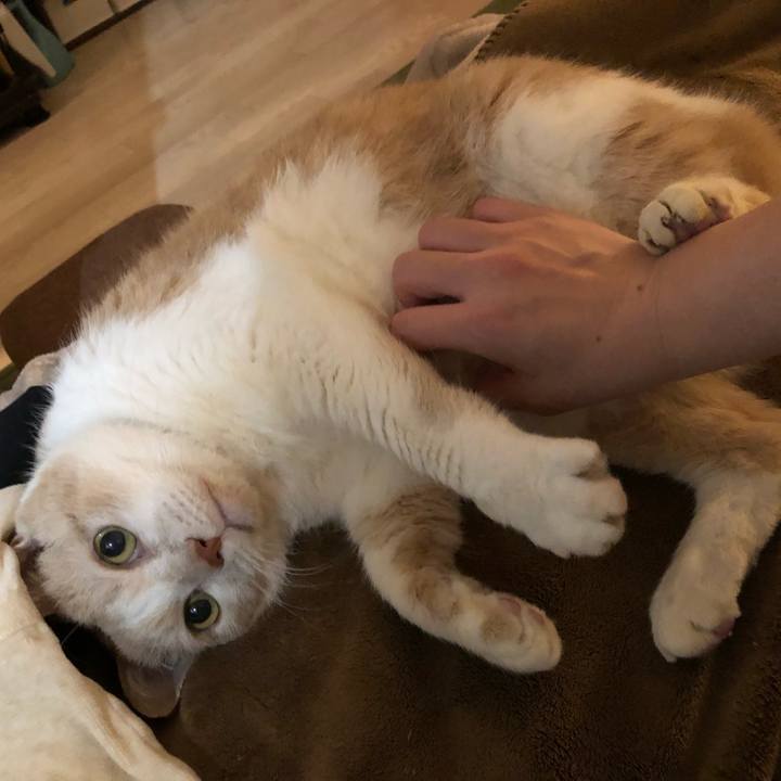 02a78399 fc25 4088 be06 ea203048bf8b 1609329699579