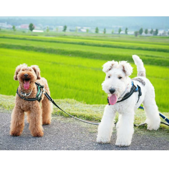 02a788ae d9b5 4113 92a4 db68e46acf86 1531677606177