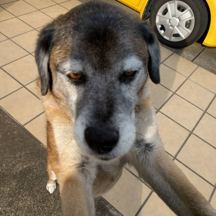 02a7b186 6b31 4642 a34a a3fd885a364e 1552545869651