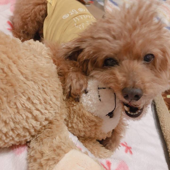 02a7b54e 807c 4a85 885d 140864157709 1547293439906