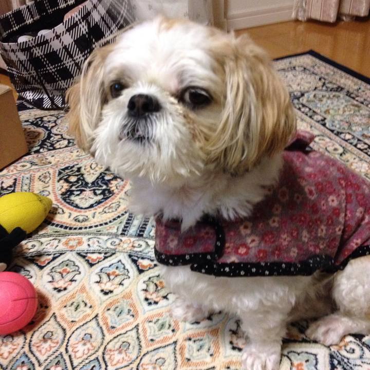 02a7ea28 44f6 47e9 9126 95cb9c7f5fa9 1509485545672