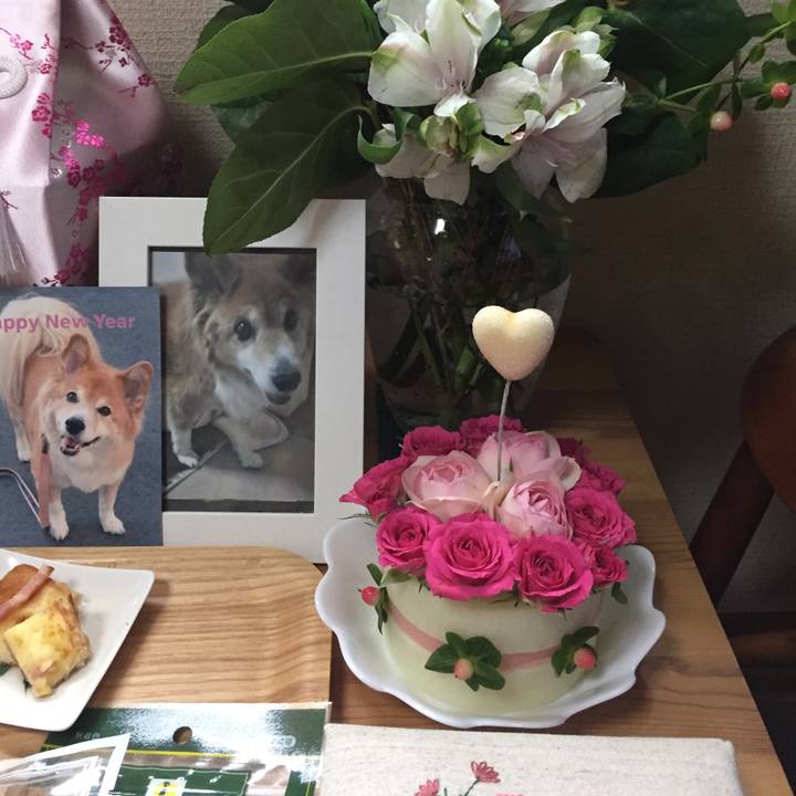 02a83220 3580 4a30 9a65 f12f581e5946 1510277424824